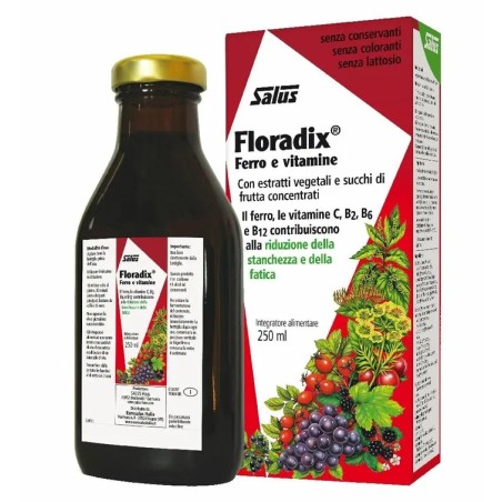 Salus Floradix® 250 ml